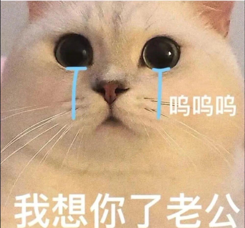 等一下我老公呢是什么梗