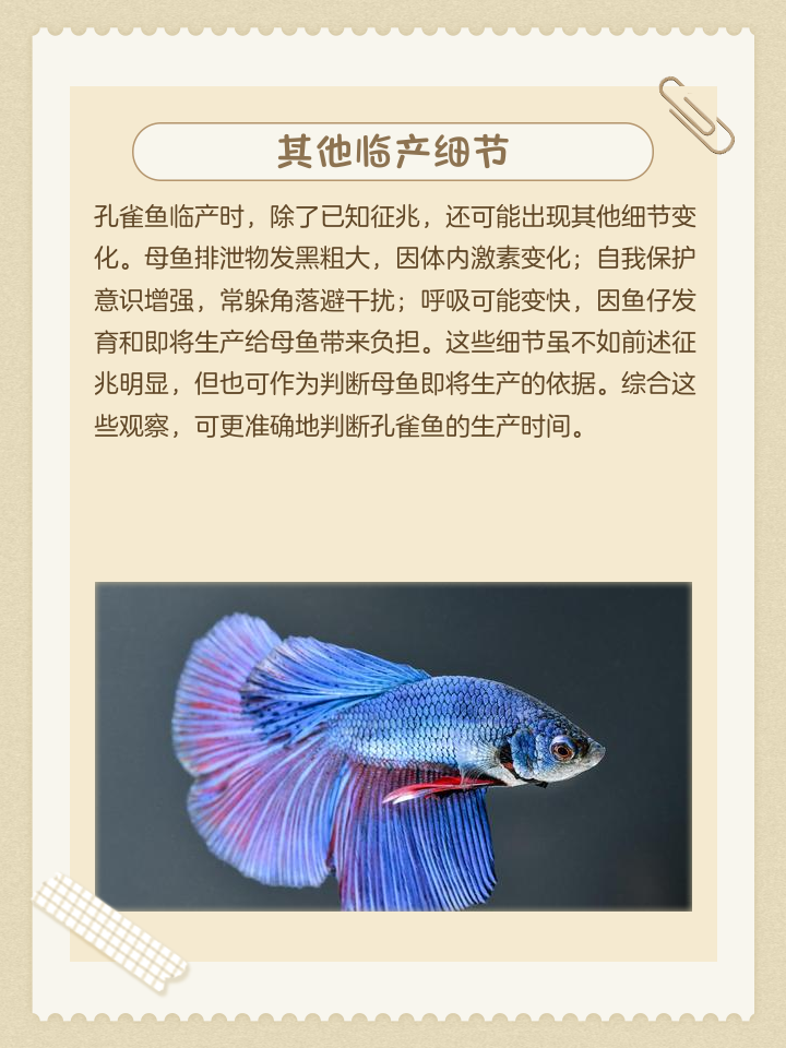 女人做梦梦见鱼生小鱼是什么意思