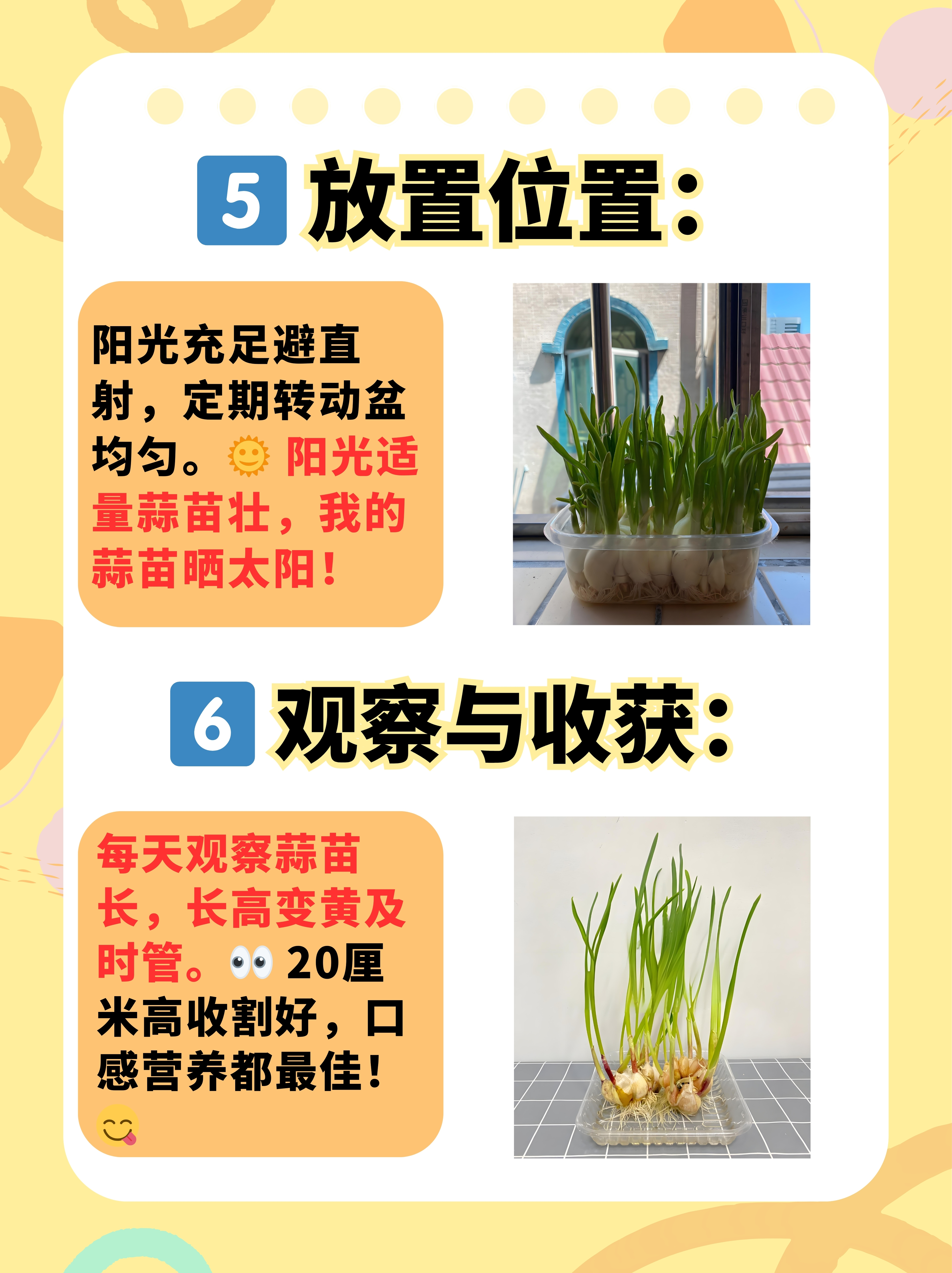 种大蒜的方法和步骤视频