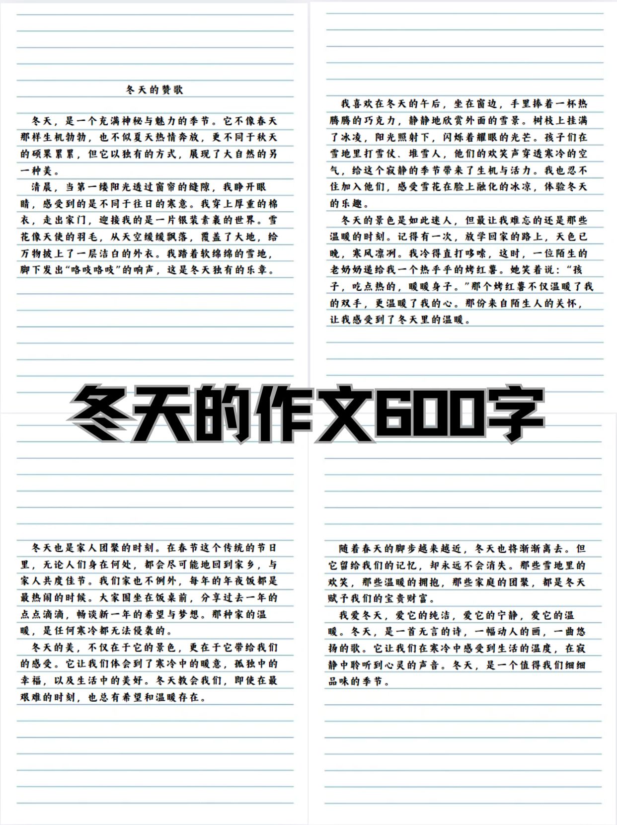 这个冬天不太冷作文800