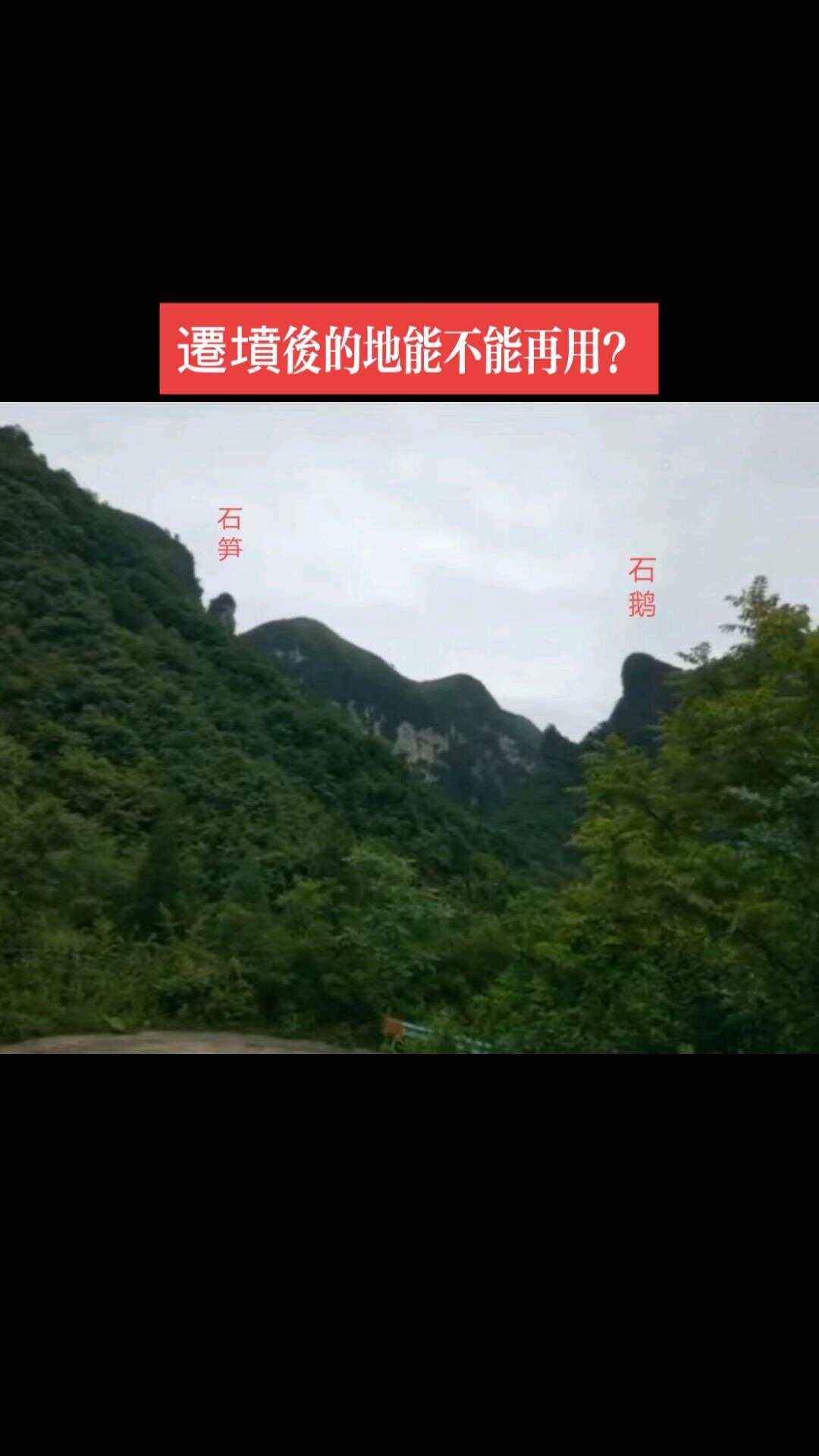 竹绮玉 第3页