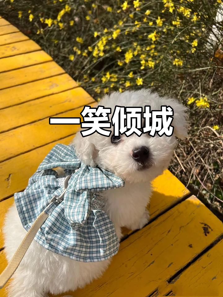 怎么理解回眸一笑百媚生的意思