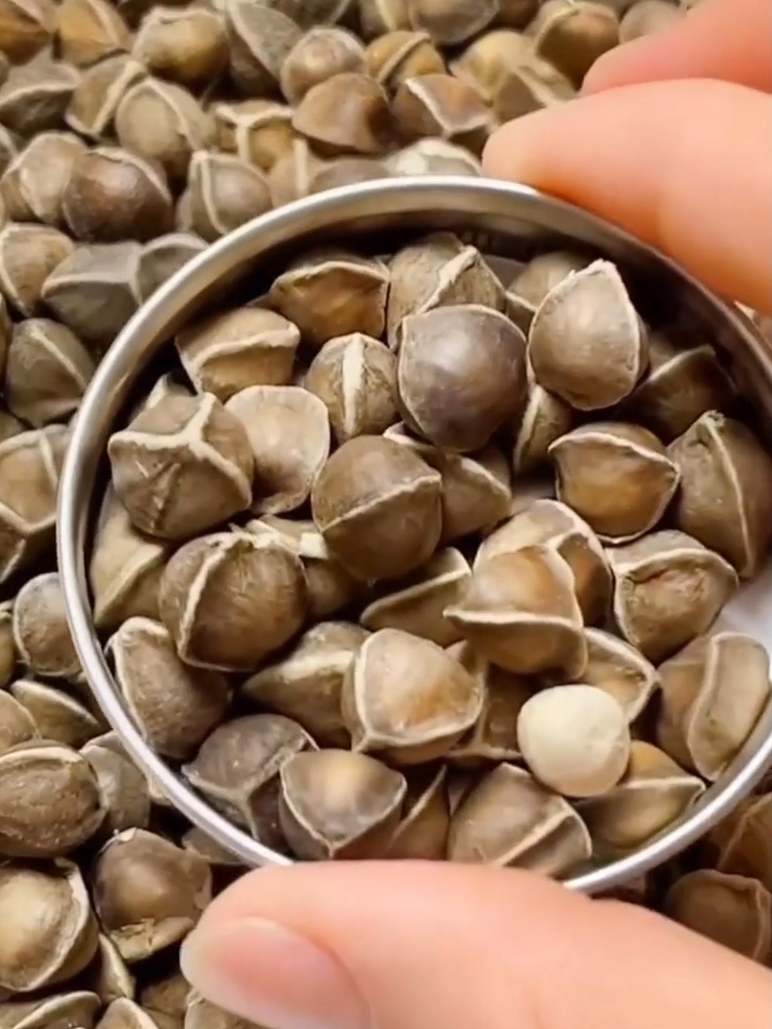 辣木籽的正确吃法和用量