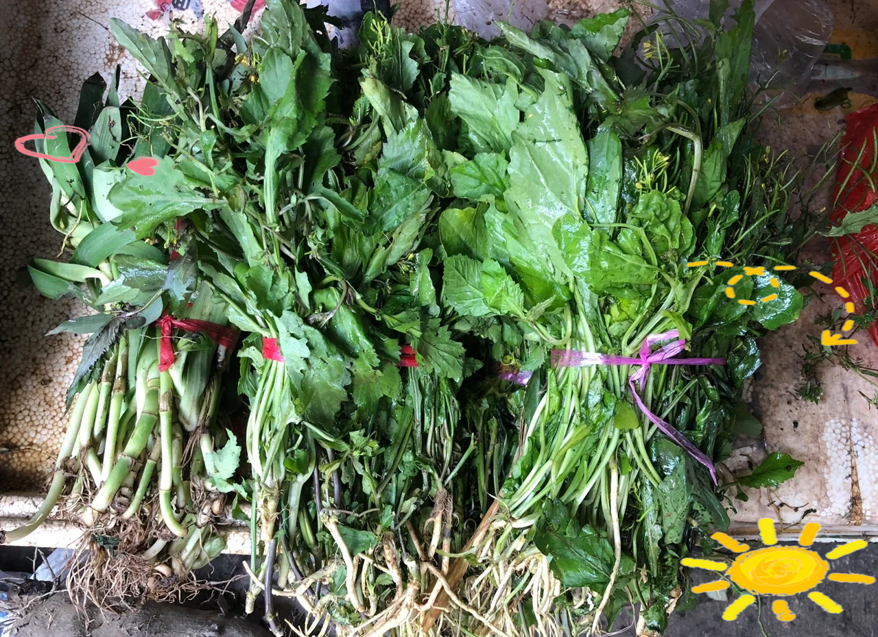 野寒菜和什么不能一起吃