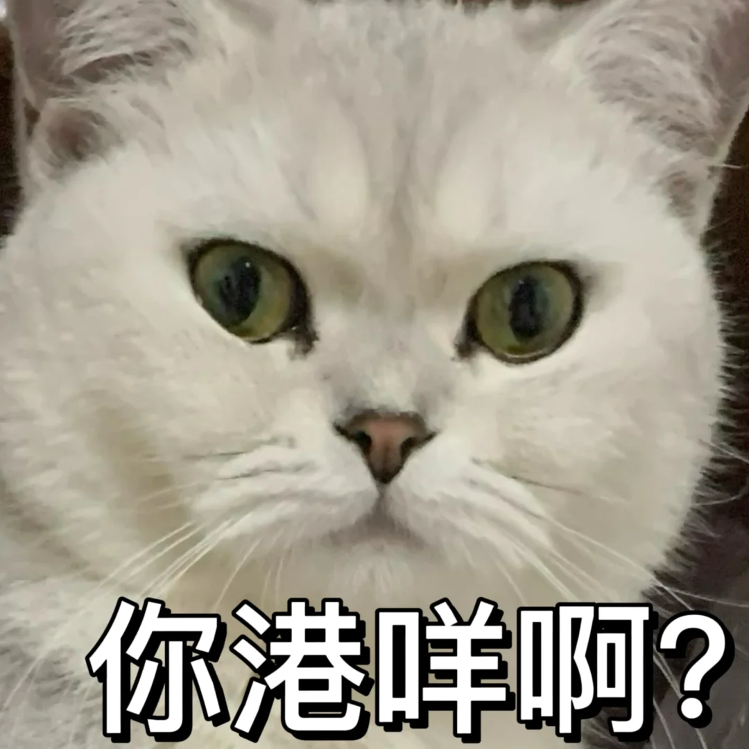 网络用语咩是什么意思