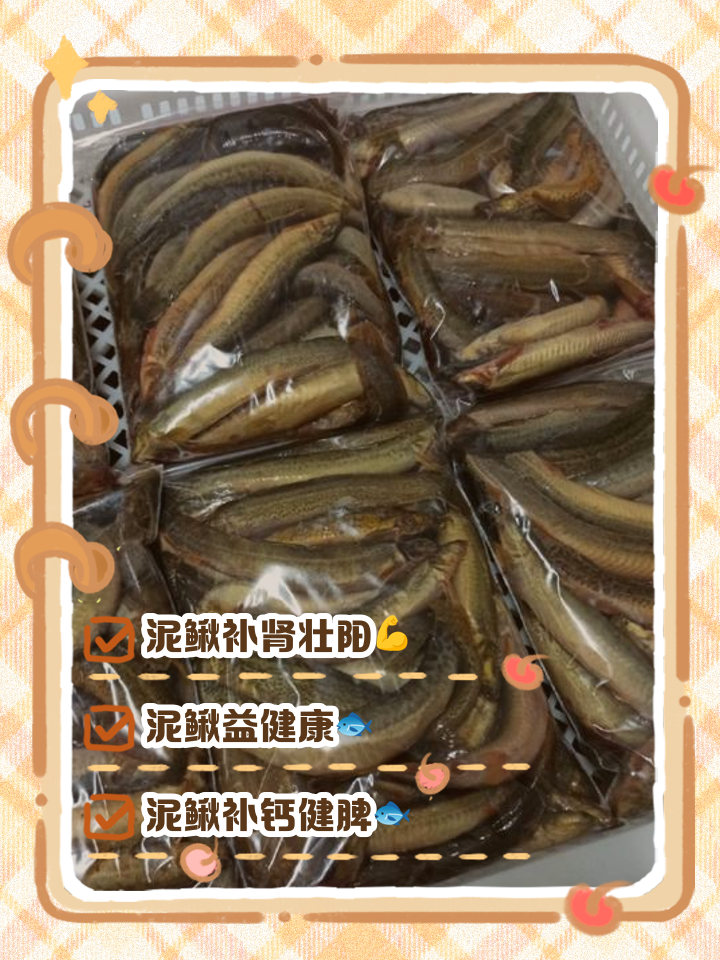 泥鳅的药用做法与功效