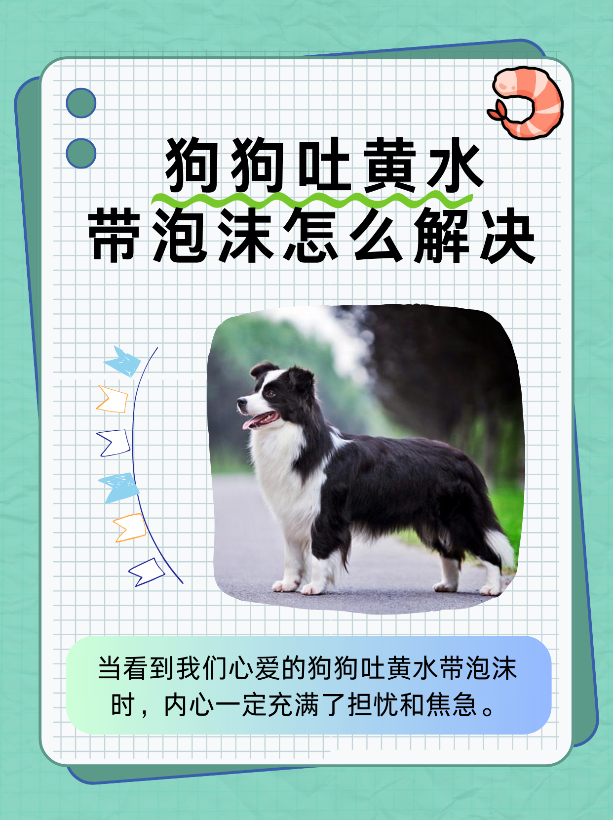 狗狗不吃饭呕吐没精神怎么办