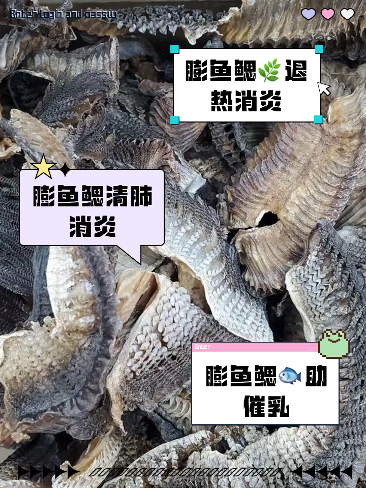鱼鳃里面白色像弹簧能不能吃