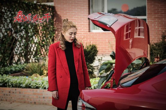 春暖花又开电视剧演员表