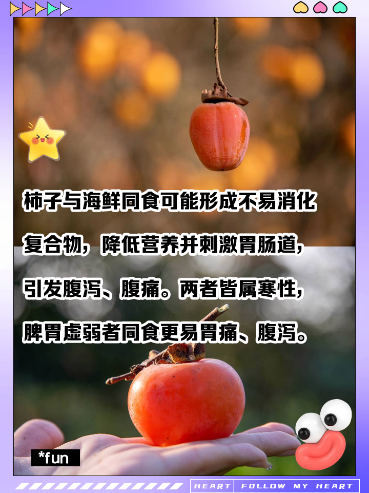 柿子不能和什么吃在一起