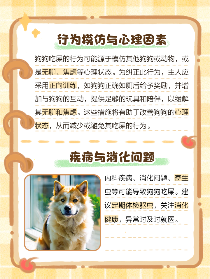 狗狗为什么喜欢吃自己的粪便