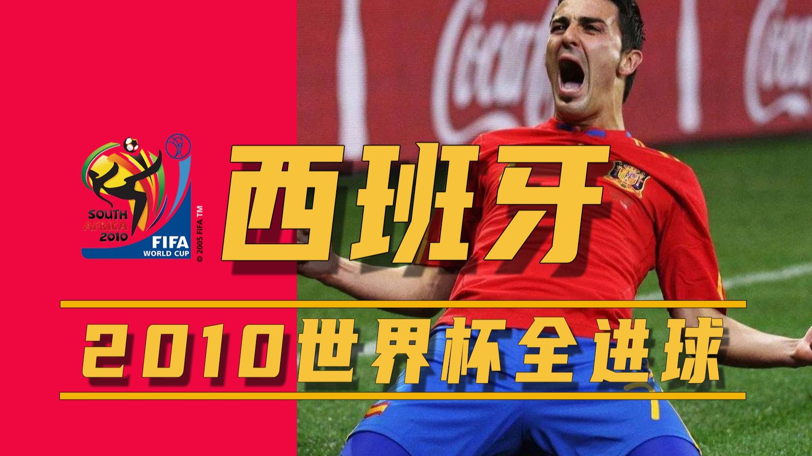 2010年世界杯冠军