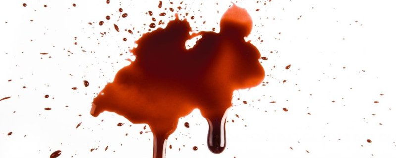 壤驷含之 第2页