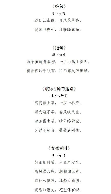 春日这首诗的意思是什么