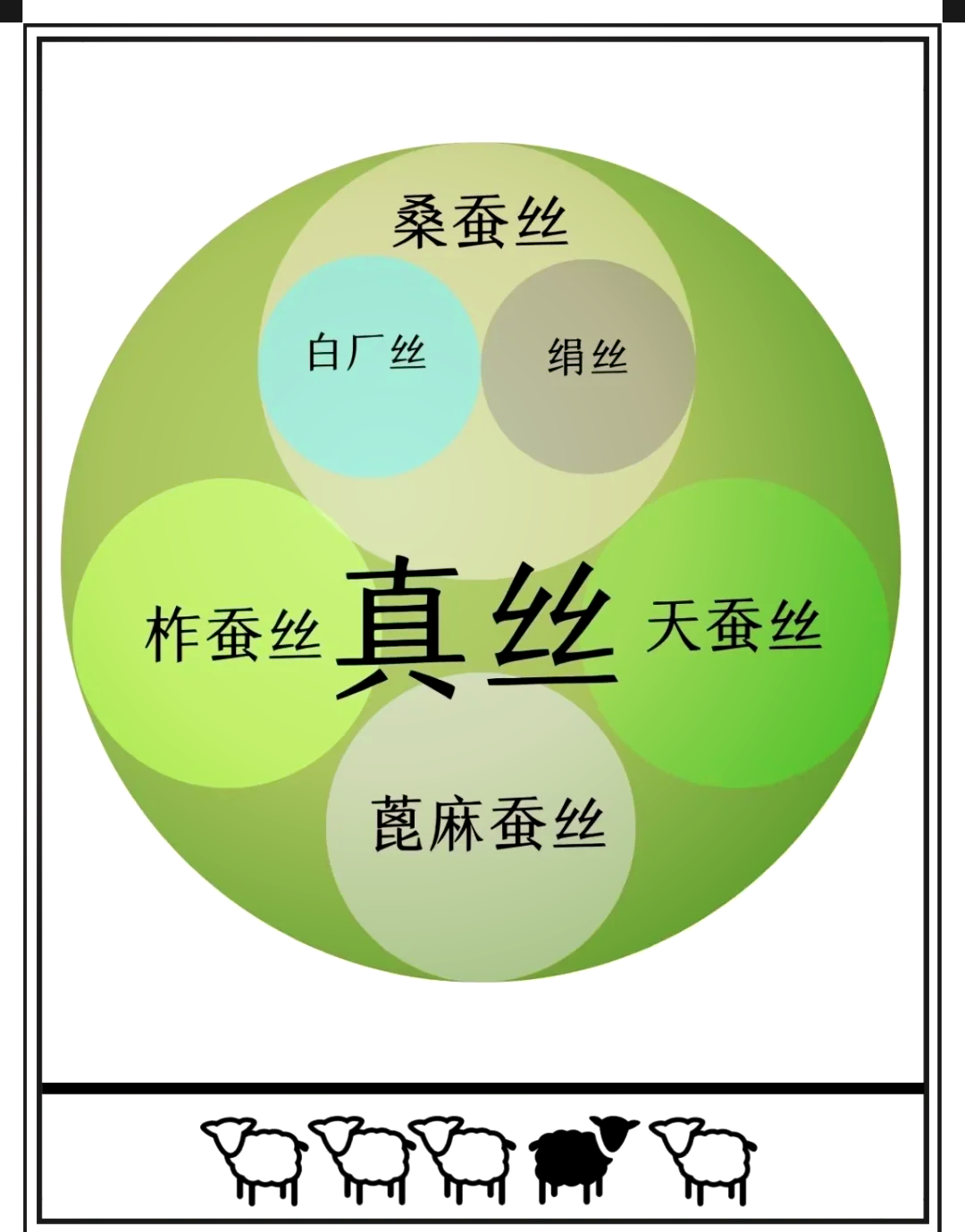 桑蚕丝与真丝有什么区别