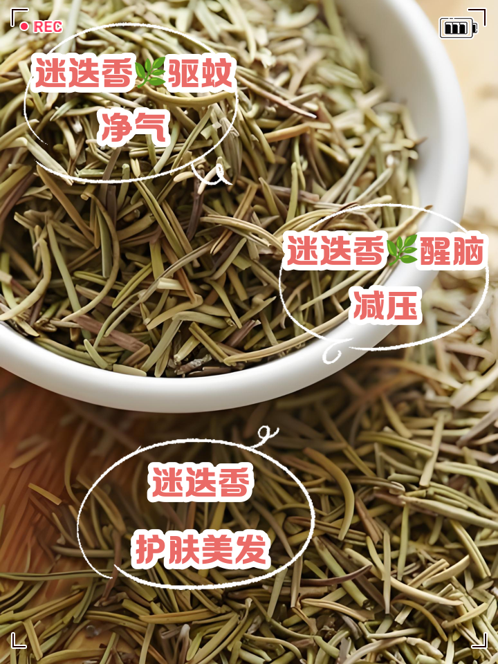 迷迭香茶的功效与作用及食用方法
