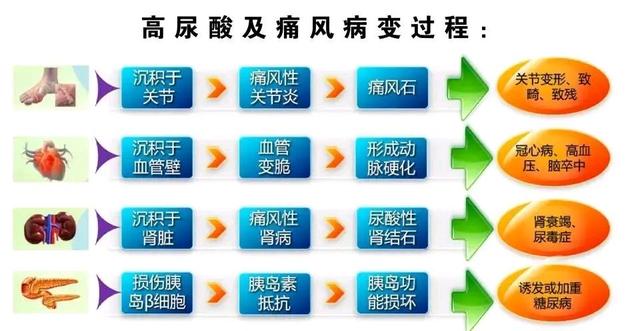 野马精力糖有什么副作用?