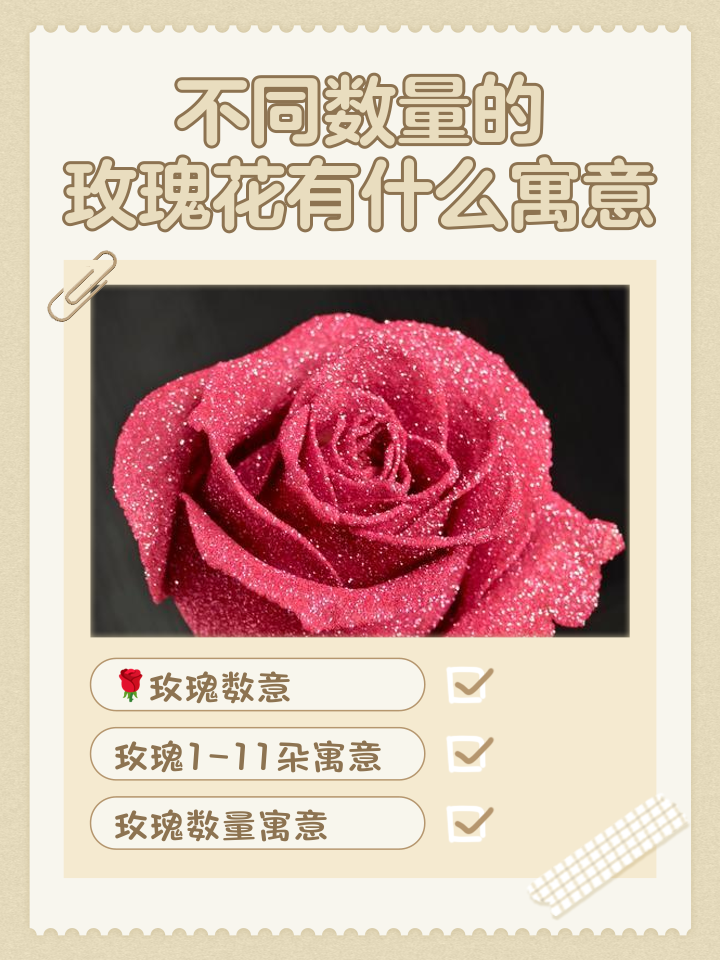 13支玫瑰代表什么意思