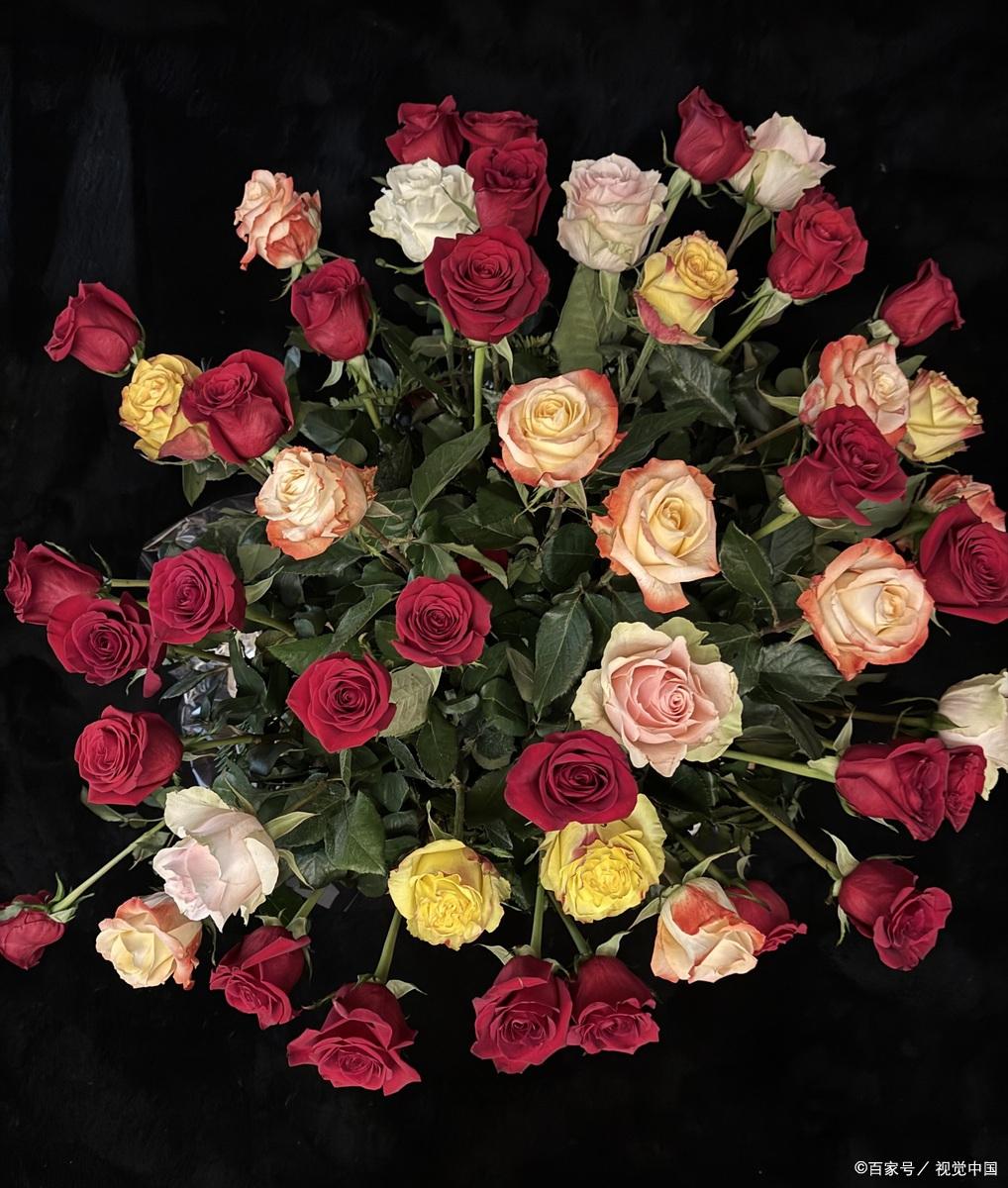 13支玫瑰代表什么意思