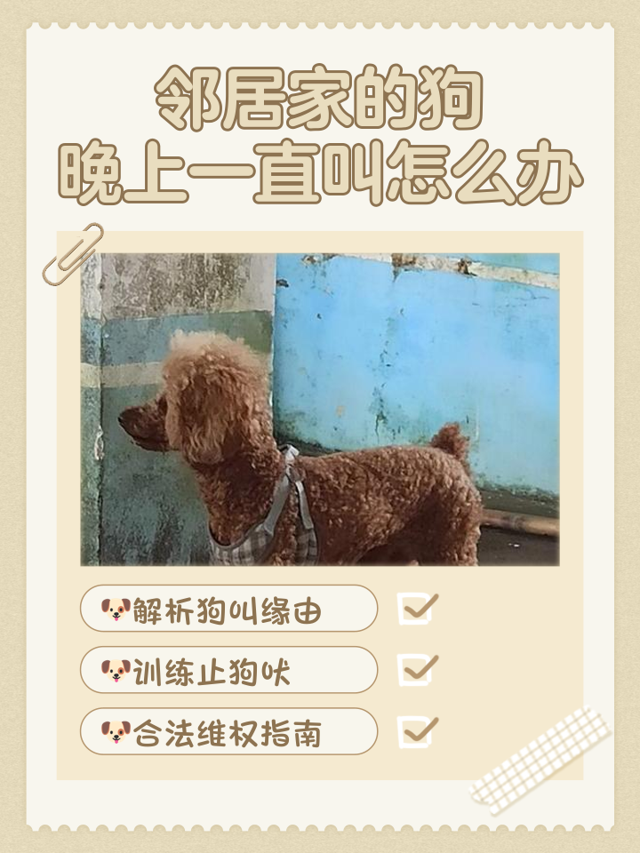 幼犬晚上一直叫如何解决