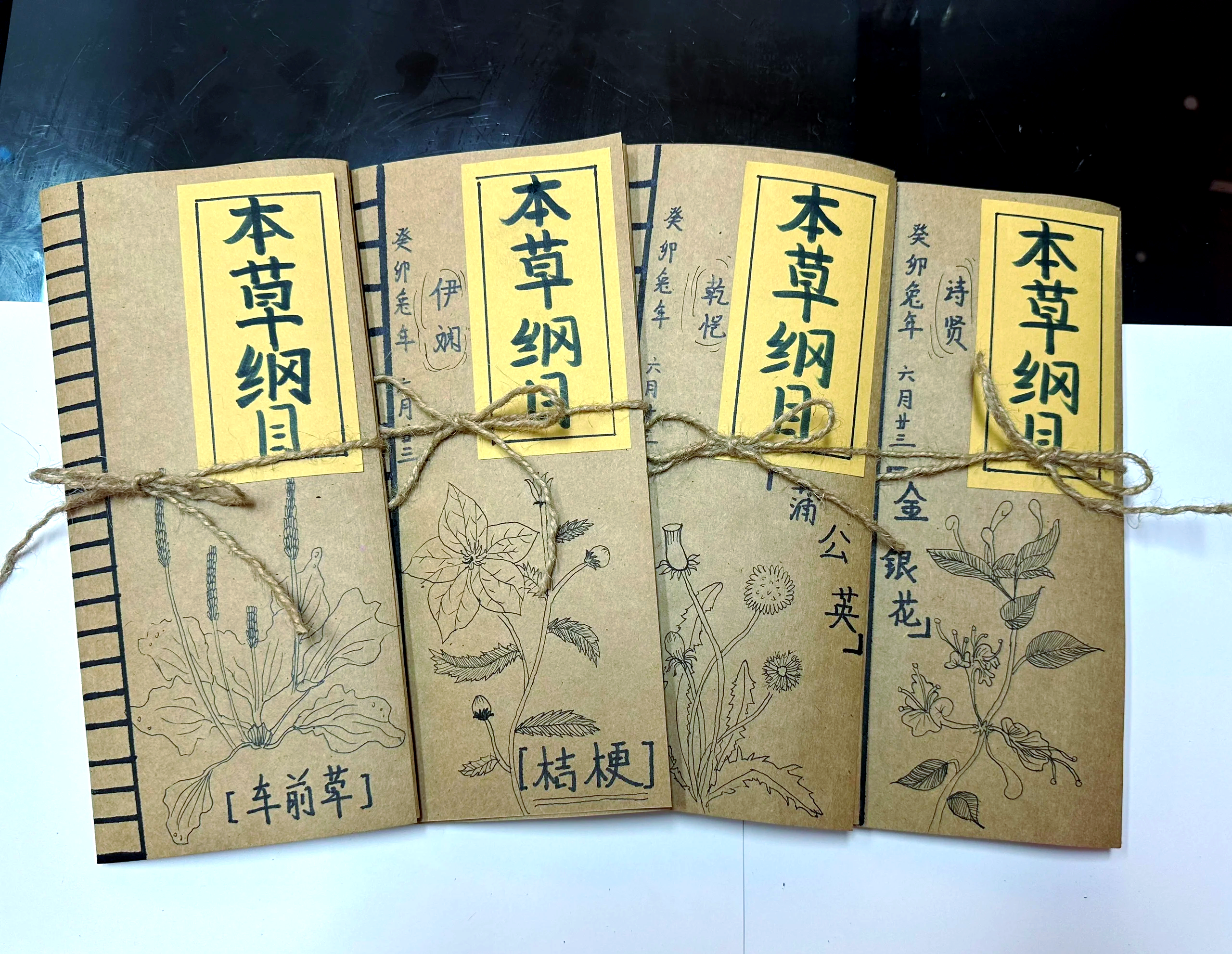 中医养生书本本草纲目全文