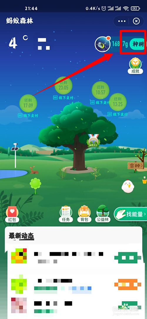 支付宝合种树多久长大