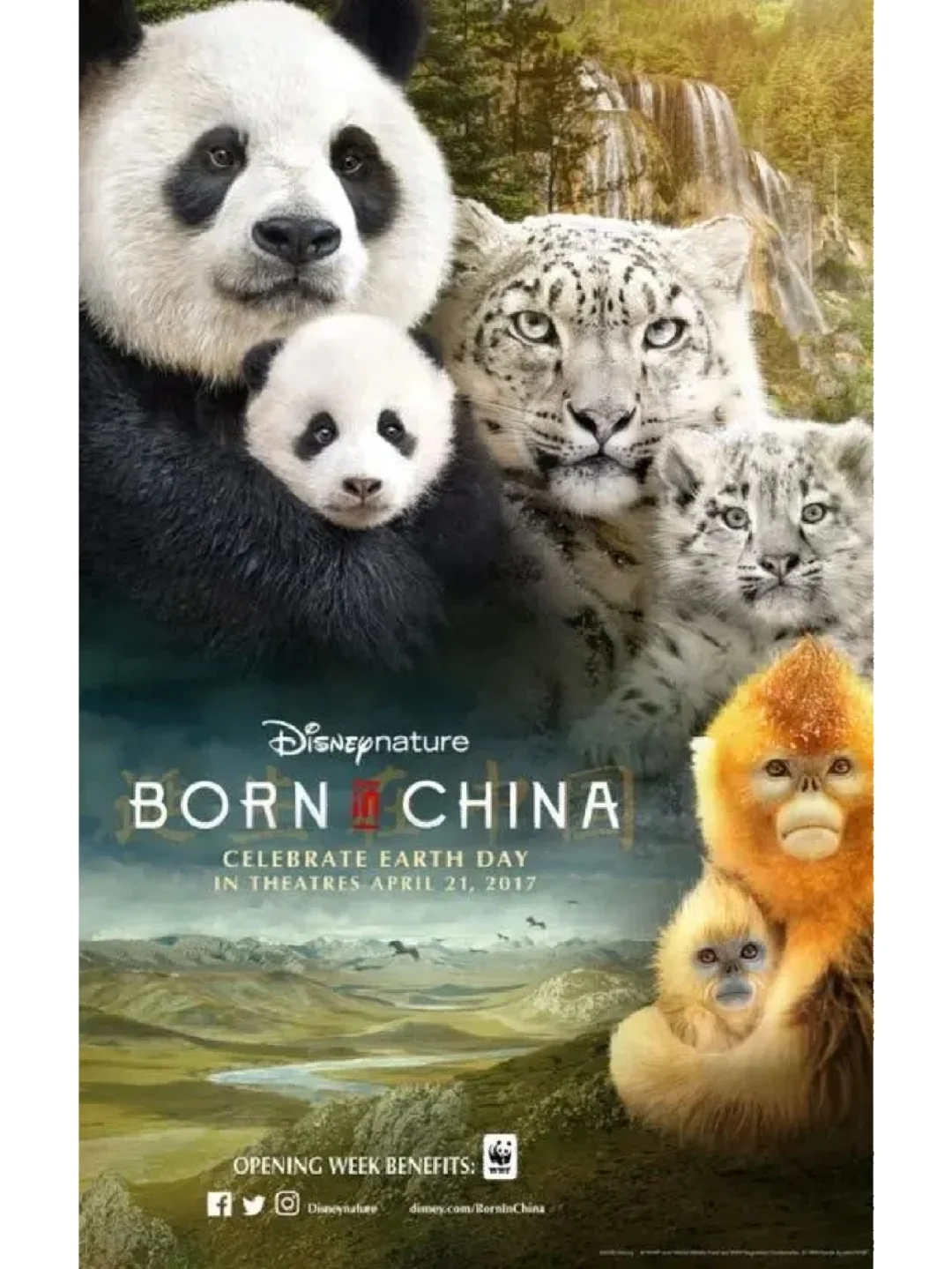 有关动物的记录片有哪些