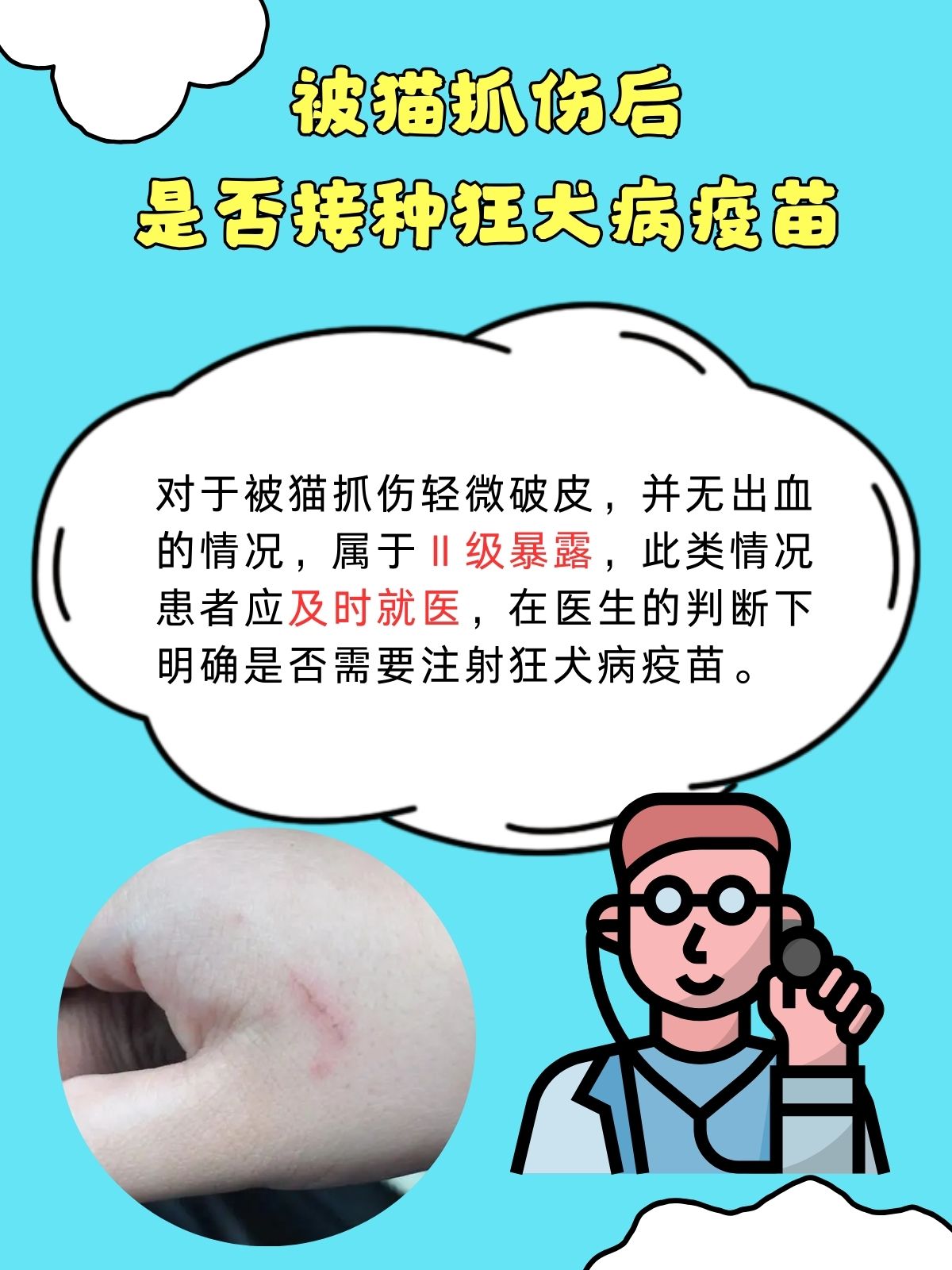 被猫挠了出血了怎么处理