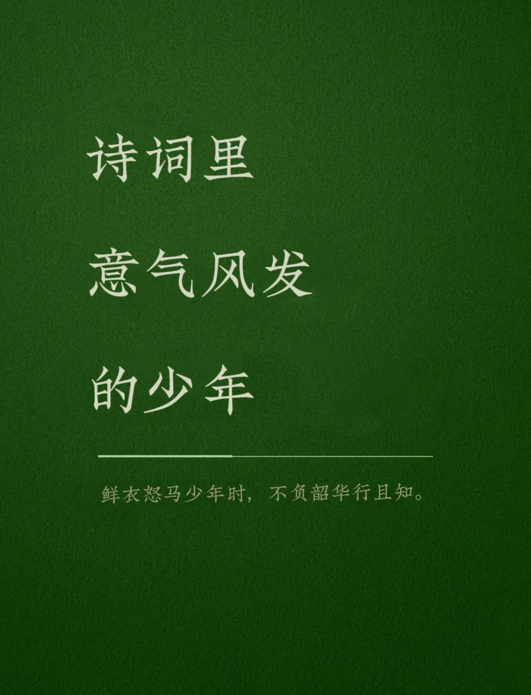 形容少年意气风发的诗句