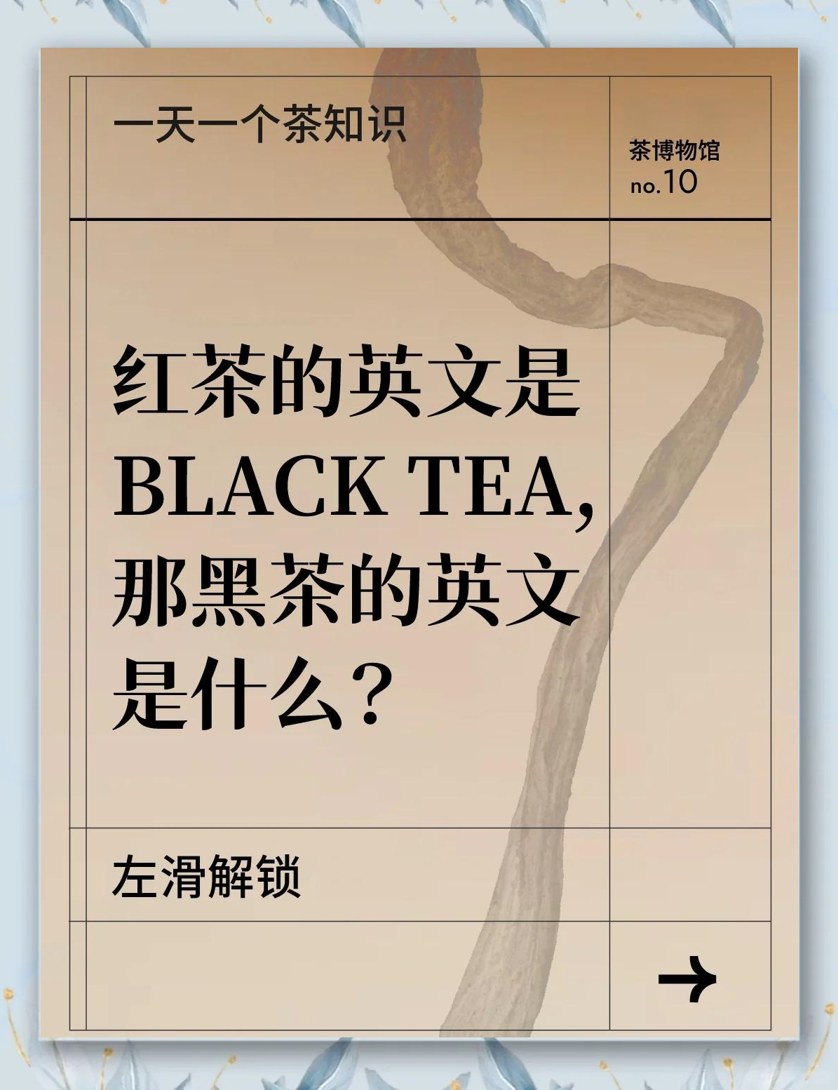 Tea中文是什么意思
