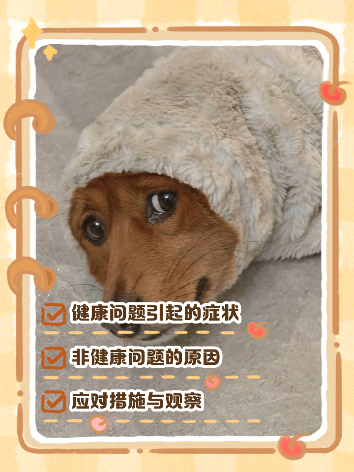 狗狗精神好但不吃东西怎么回事