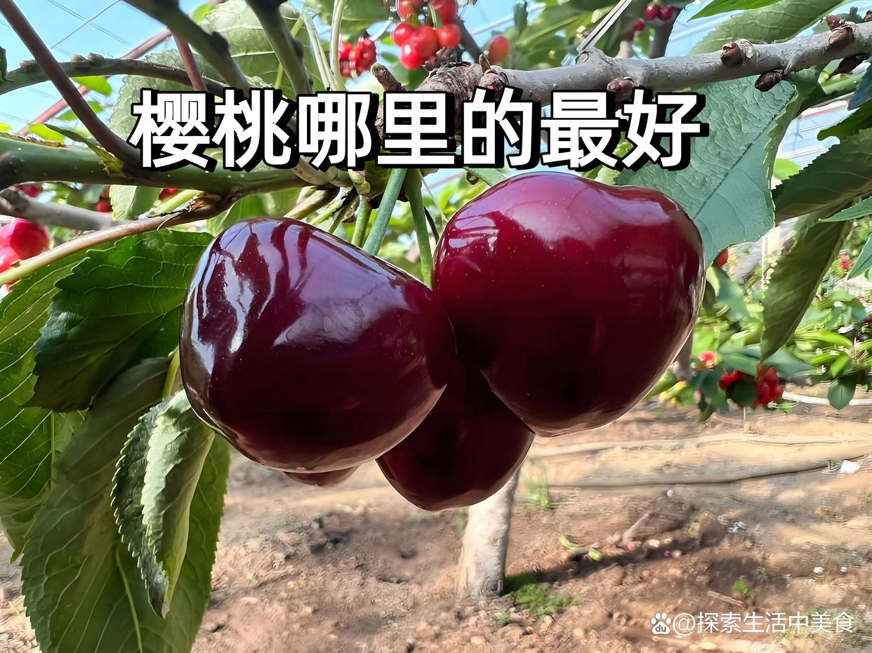 2025年10月4日 第101页