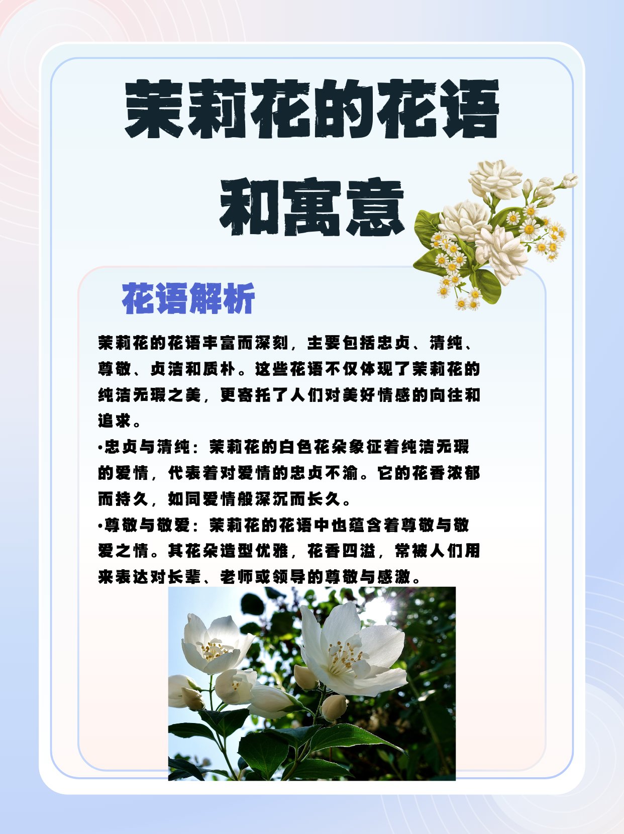 各种花的寓意及花语大全