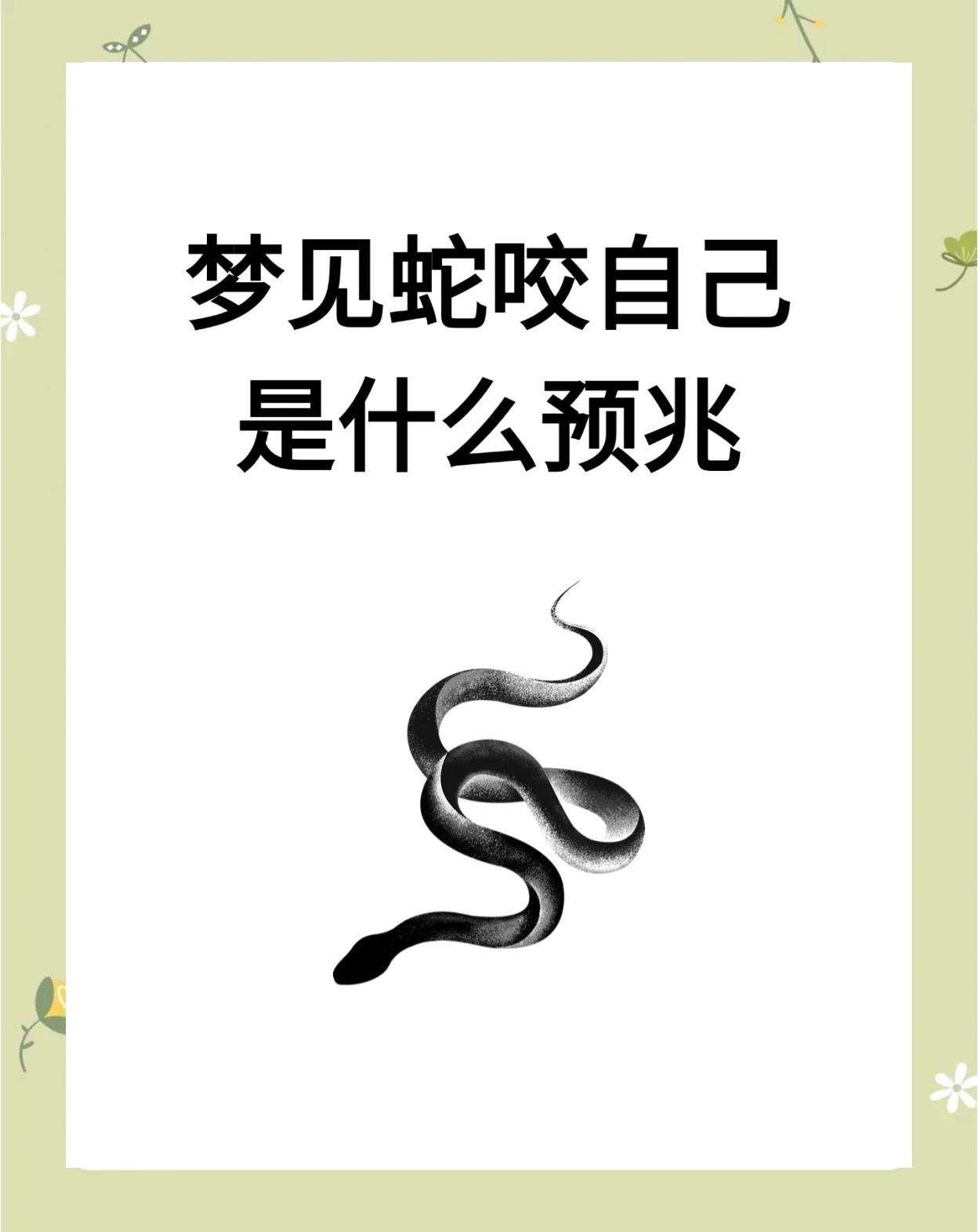 女人做梦梦到蛇很害怕预示什么意思
