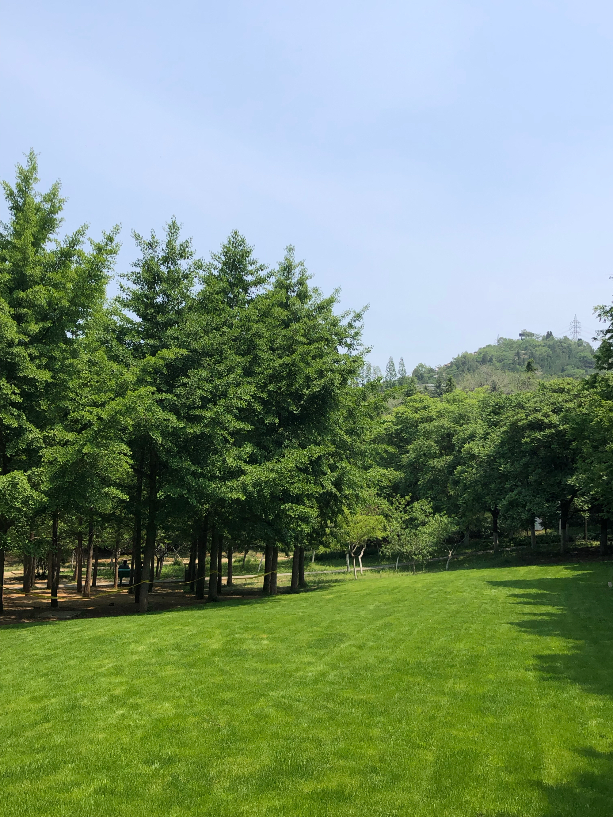 踏青好去处踏青的五大好去处