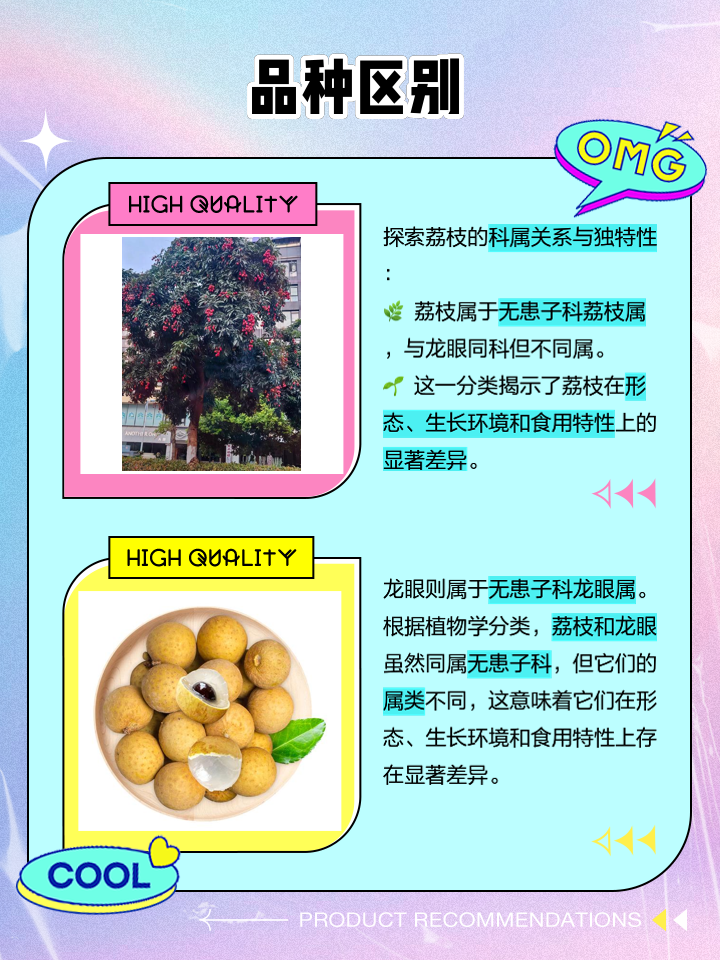 桂圆跟龙眼的区别是什么