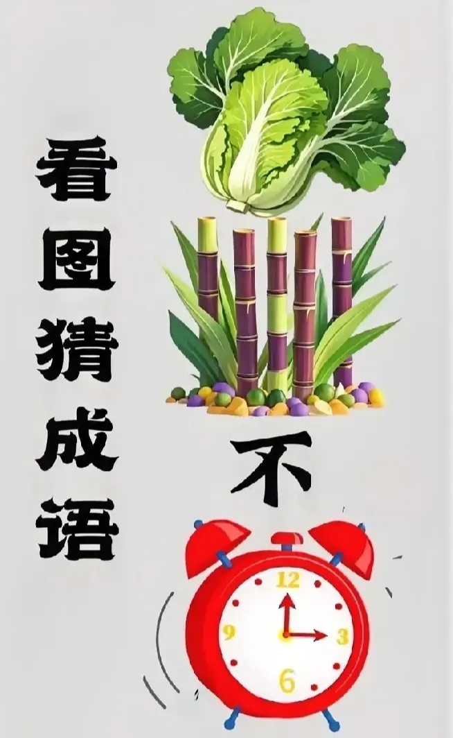 不什么一什么成语有哪些