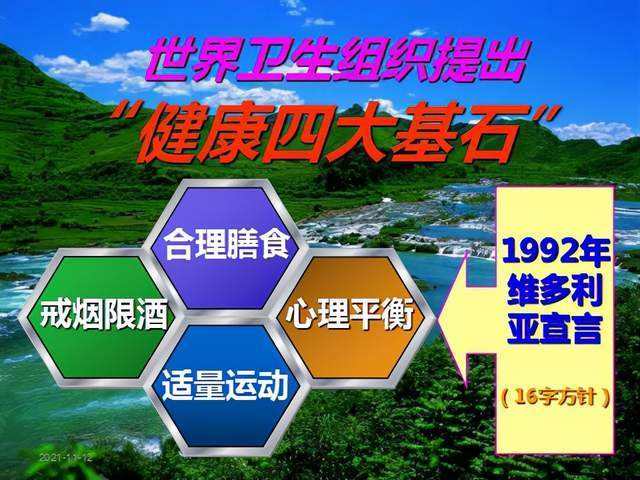 who提出健康四大基石包括