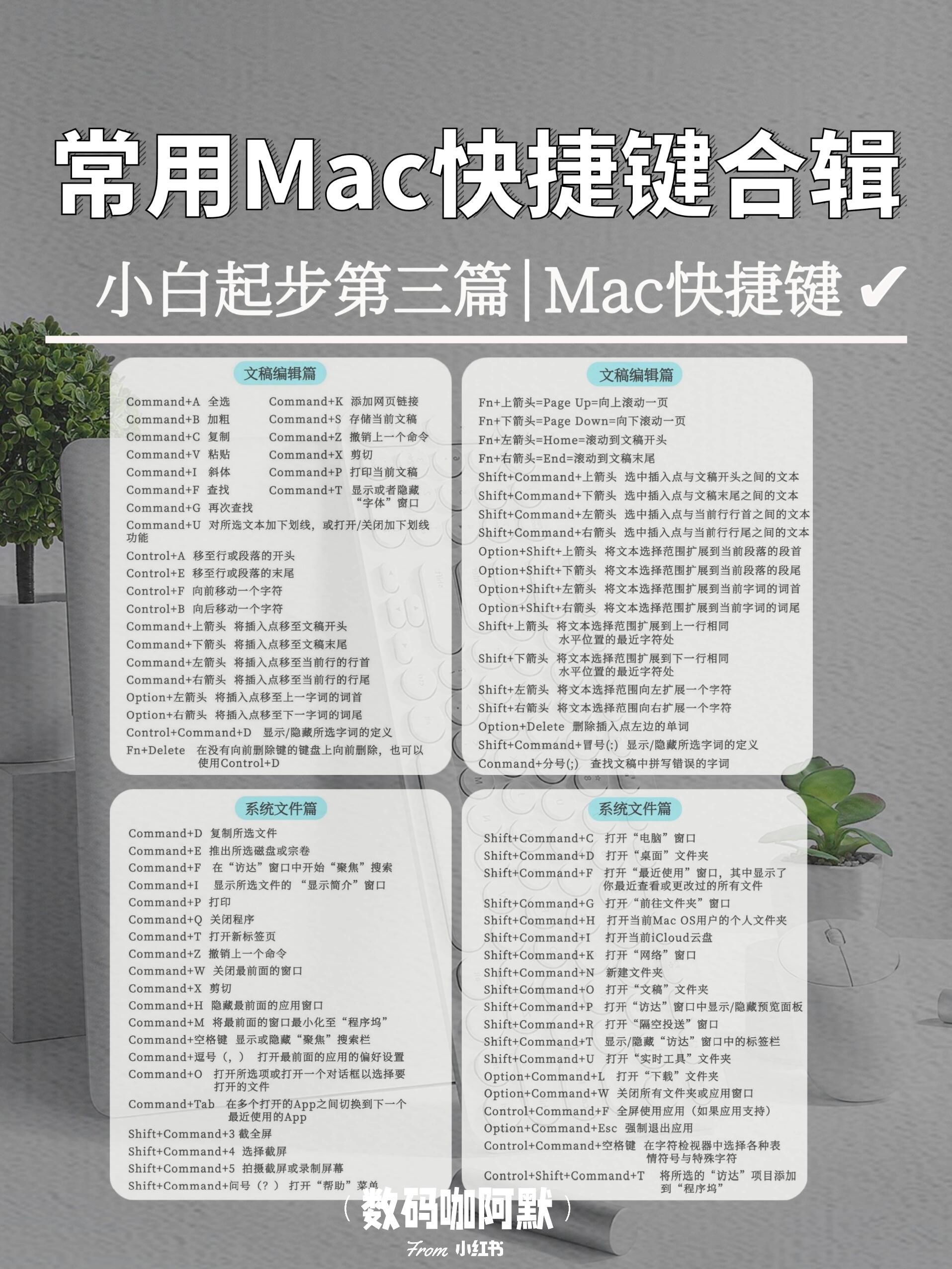 苹果电脑可以使用的输入法