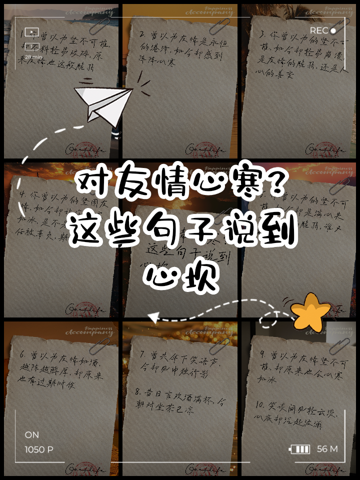 关于友情的句子精选10句
