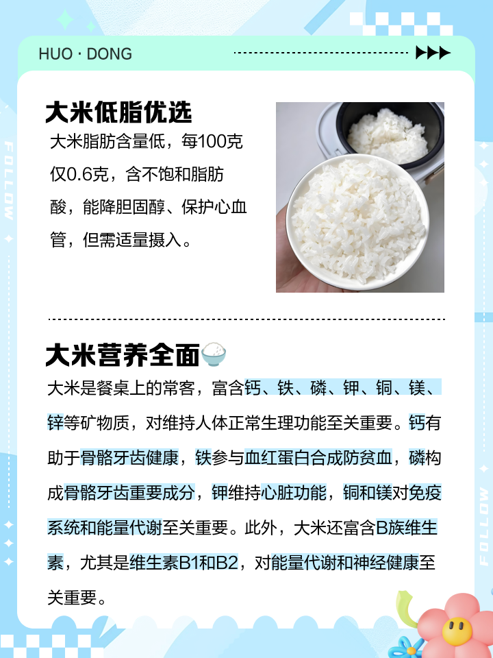 大米的营养和功效有哪些