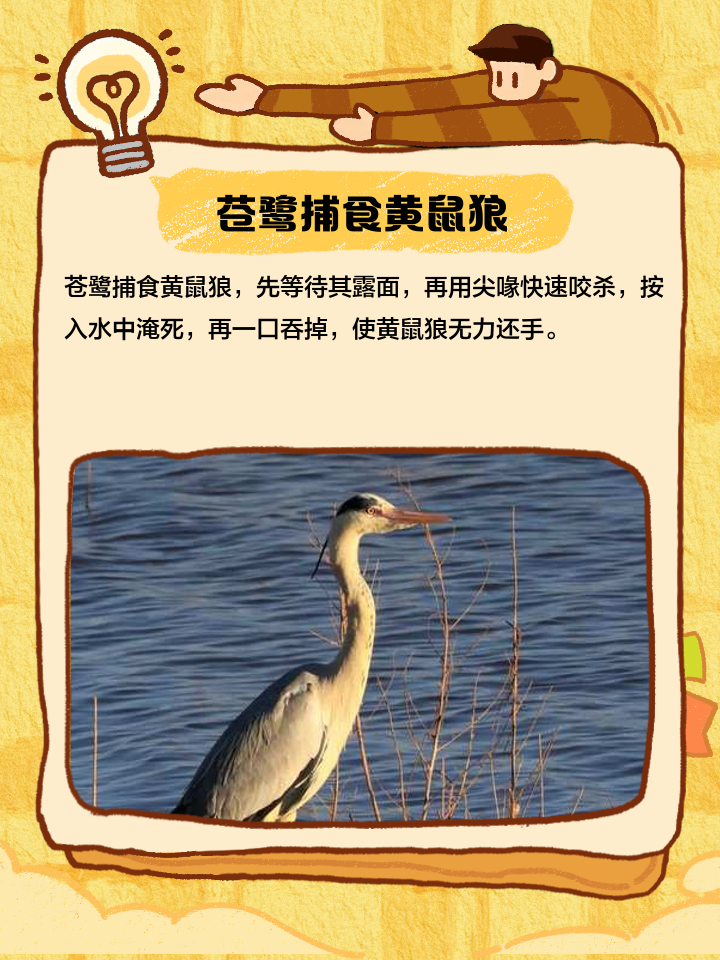 很是苦恼！得咋处理呢？求解