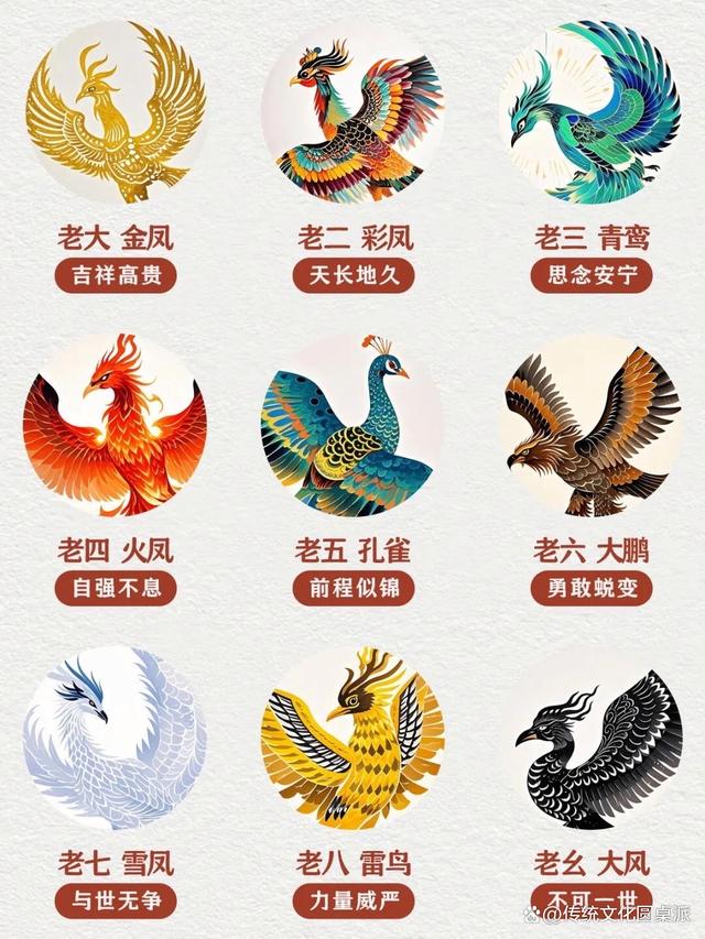 龙生龙凤生凤到底啥意思