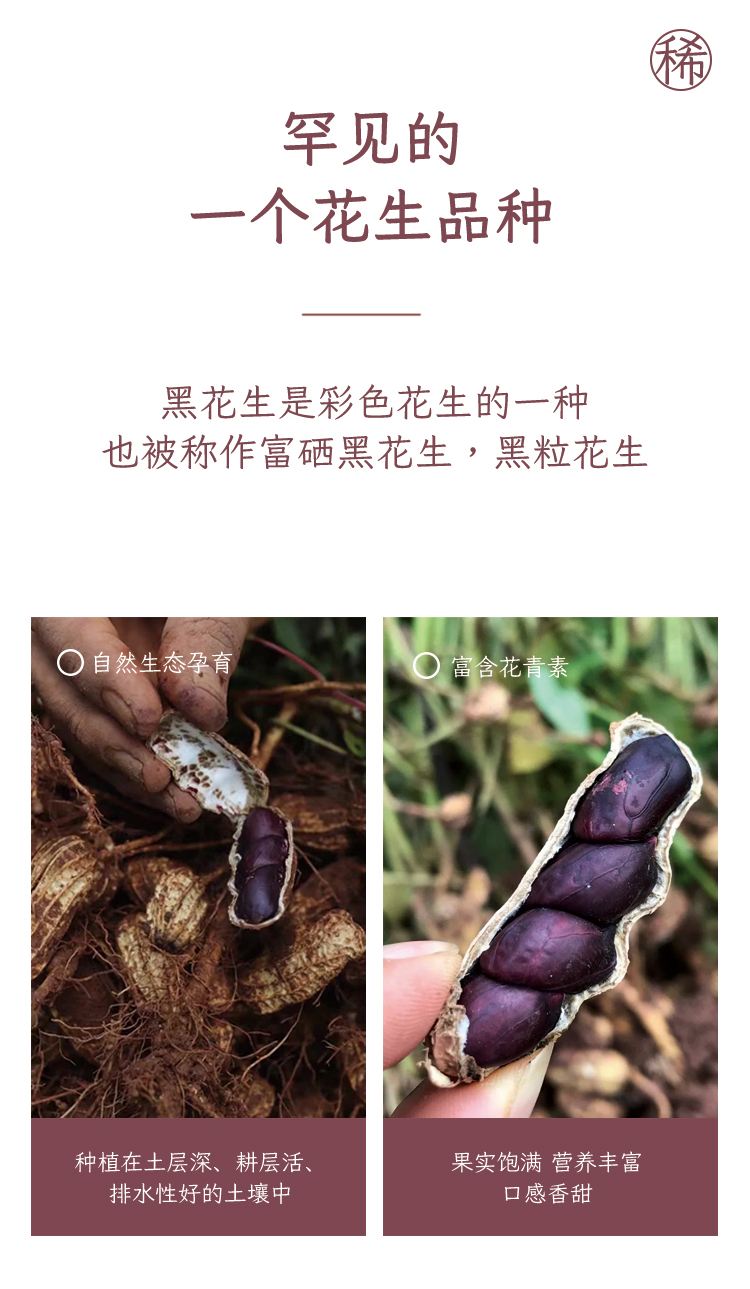 黑花生的功效与作用及食用方法