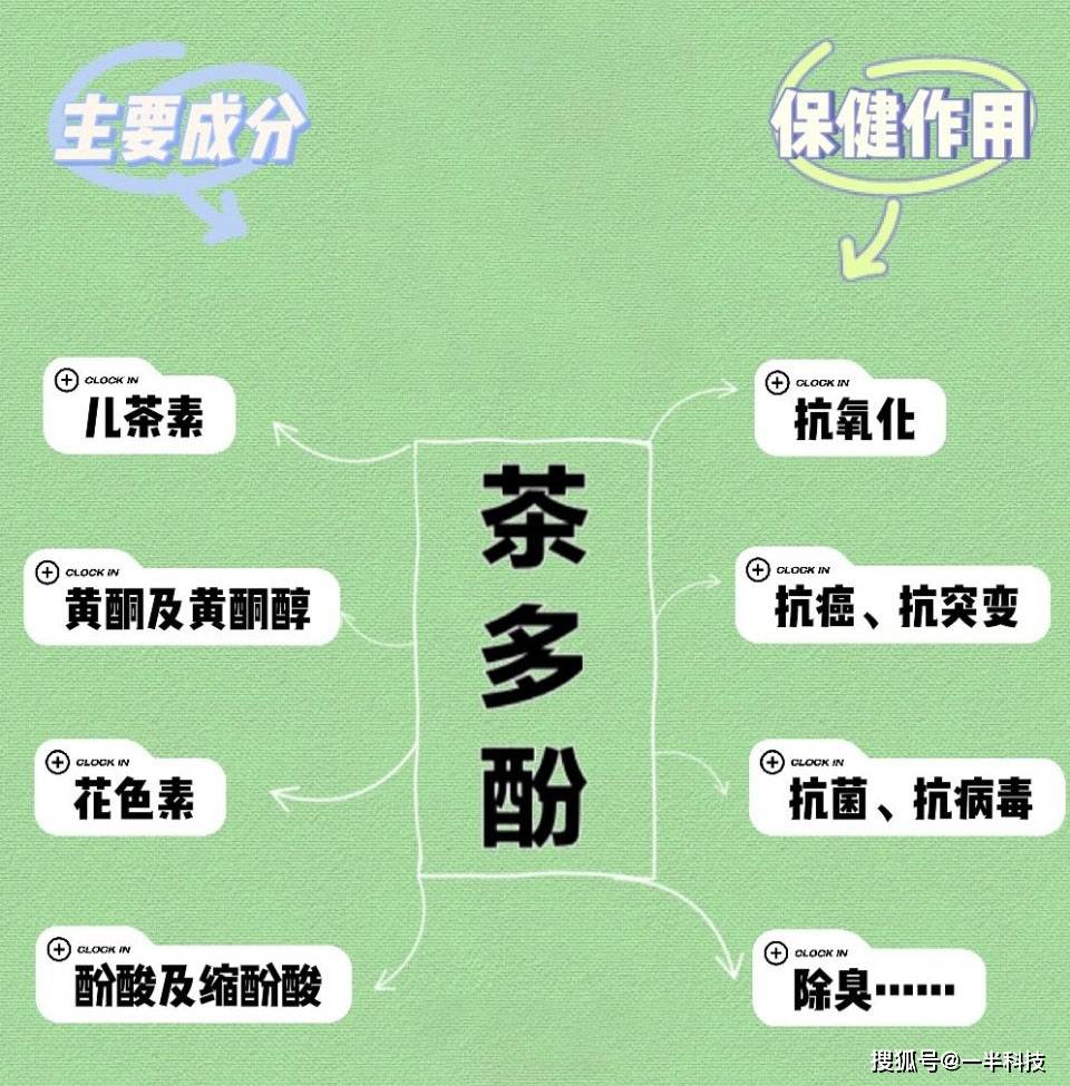 左旋肉碱茶多酚片的作用与功效