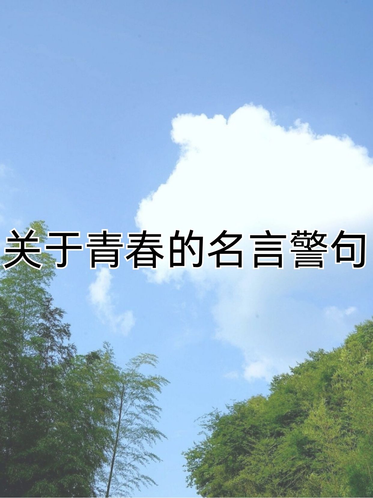 关于青春的经典语录简单介绍