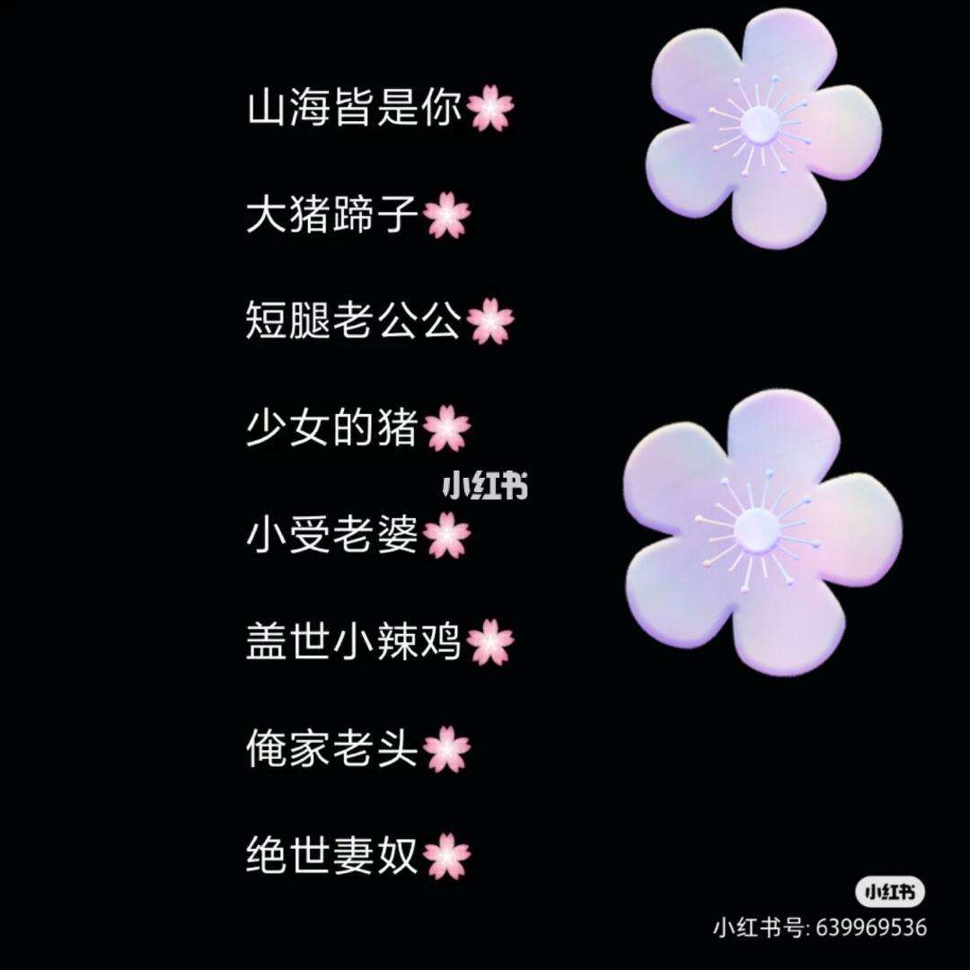 称呼男朋友的独特昵称