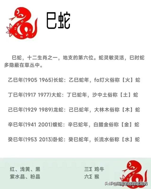 42岁属相是什么生肖