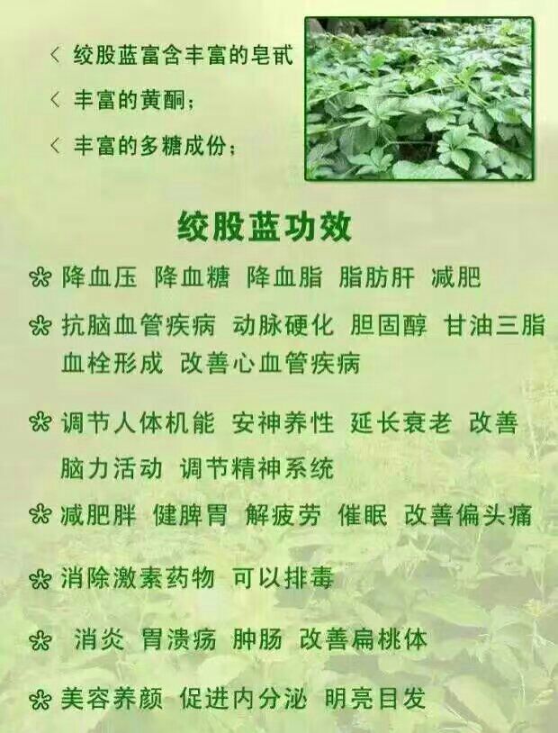 绞股蓝茶的功效和作用是什么