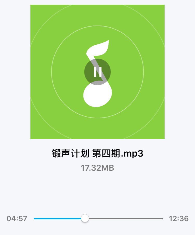 常见的音频文件格式有哪些